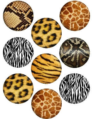 Cupcake Animal Print Edible Image Cake Toppers - 8 prints available - CustomIcing.com.au
