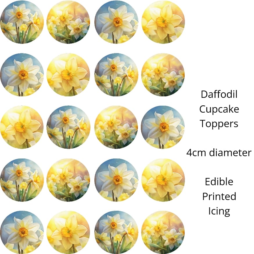Daffodil Edible Image Cupcake Toppers 4cm x 20 - CustomIcing.com.au