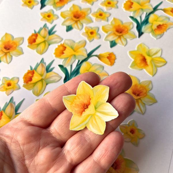 Daffodil Edible Icing Images 32 pieces