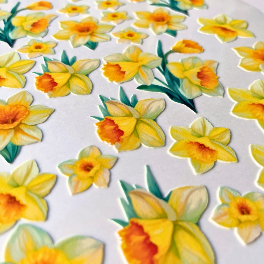 Daffodil Edible Icing Images 32 pieces - CustomIcing.com.au
