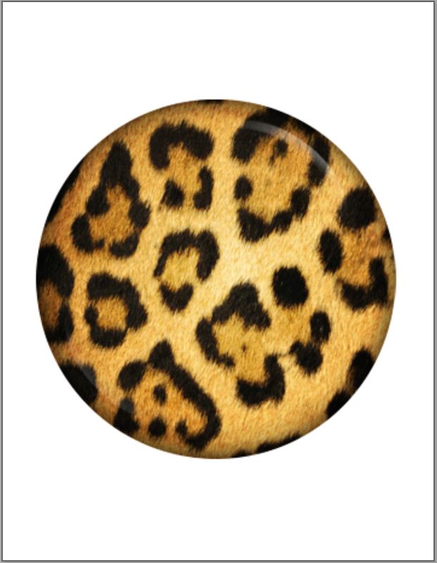 Animal Print Edible Image Cake Toppers 20cm diameter (7 prints available) - CustomIcing.com.au