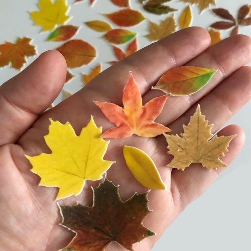 Edible Wafer Card Autumn Leaves - 41 pieces - CustomIcing.com.au