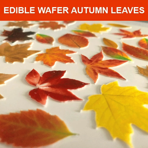 Edible Wafer Card Autumn Leaves - 41 pieces - CustomIcing.com.au