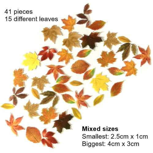 Edible Wafer Card Autumn Leaves - 41 pieces - CustomIcing.com.au