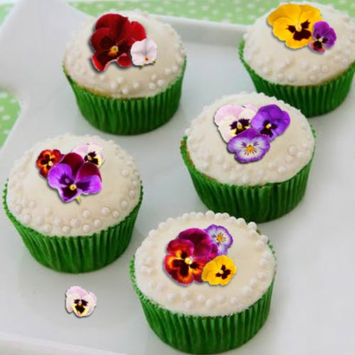 Edible Wafer Card Pansy Flowers - 38 pieces - CustomIcing.com.au
