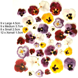 Edible Wafer Card Pansy Flowers - 38 pieces - CustomIcing.com.au