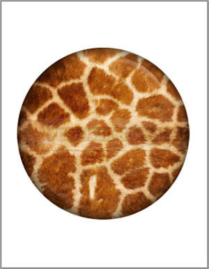 Animal Print Edible Image Cake Toppers 20cm diameter (7 prints available) - CustomIcing.com.au