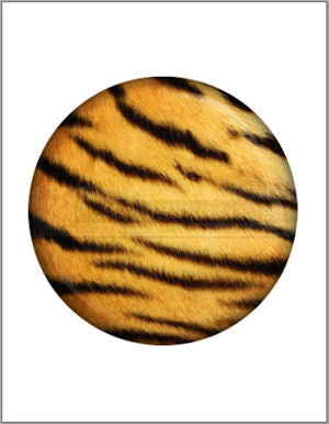 Animal Print Edible Image Cake Toppers 20cm diameter (7 prints available) - CustomIcing.com.au