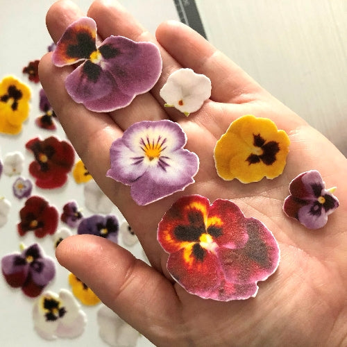 Edible Wafer Card Pansy Flowers - 38 pieces - CustomIcing.com.au